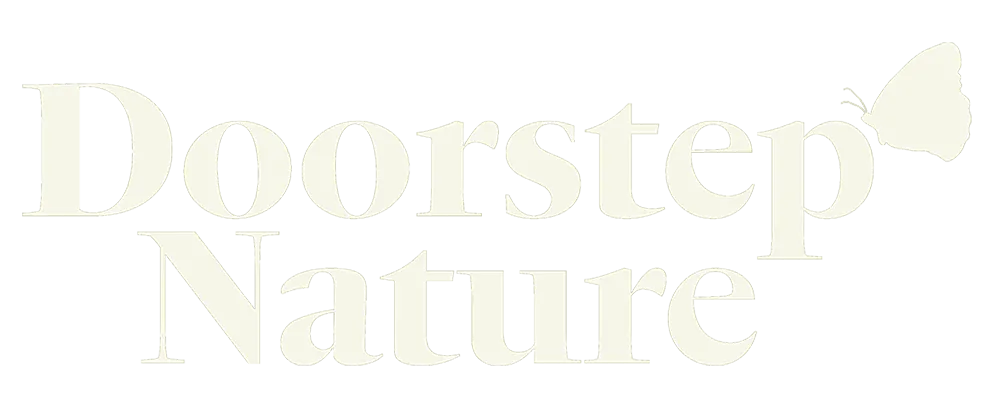 Doorstep-logo-cream